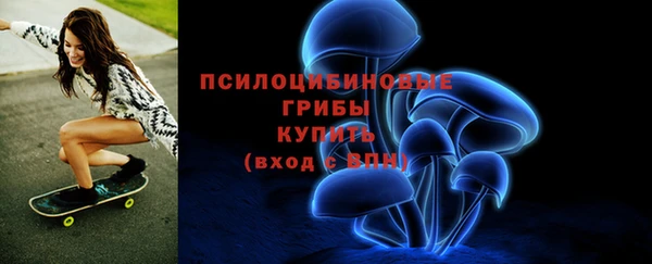 стаф Магадан