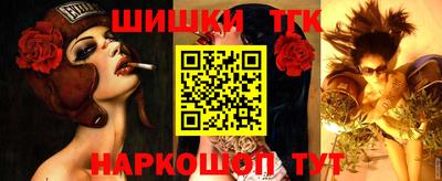 крисы Аргун